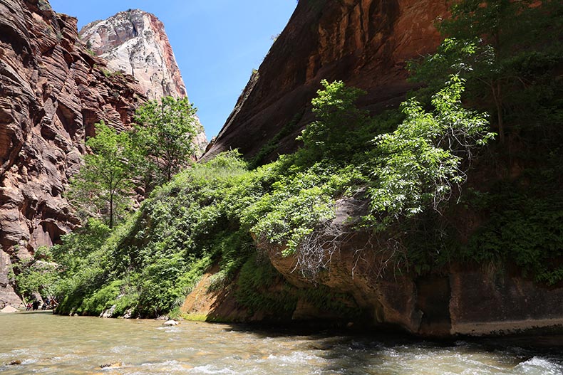 Zion NP - Henryk Iwaniec