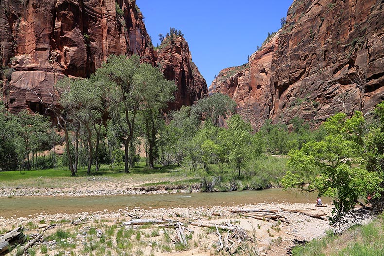 Zion NP - Henryk Iwaniec