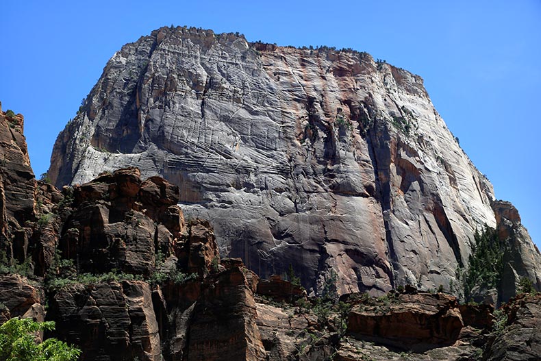 Zion NP - Henryk Iwaniec