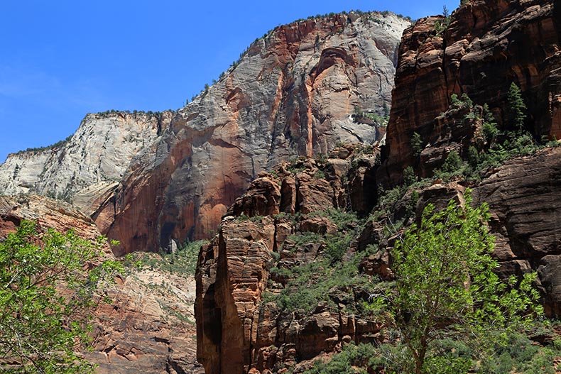 Zion NP - Henryk Iwaniec