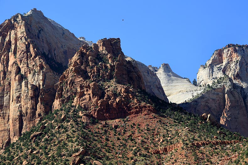 Zion NP - Henryk Iwaniec