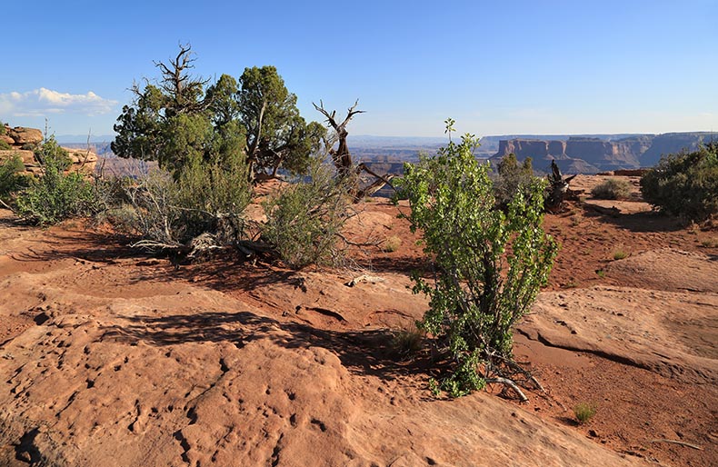 Dead Horse Point SP - Henryk Iwaniec