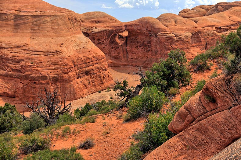 Arches NP - Edward Madej