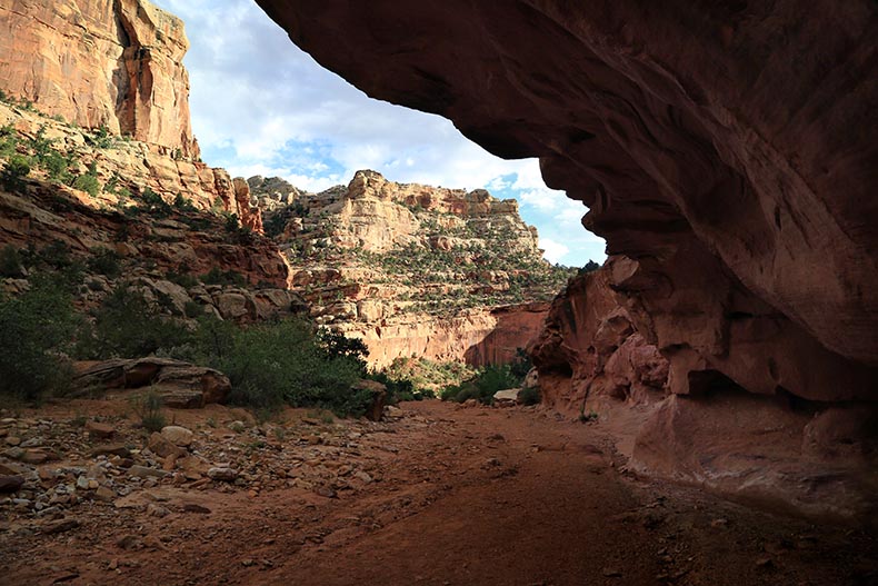 Capitol Reef NP - Henryk Iwaniec