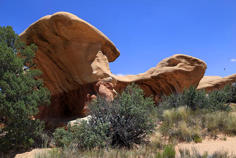 Devils Garden - Escalante NM