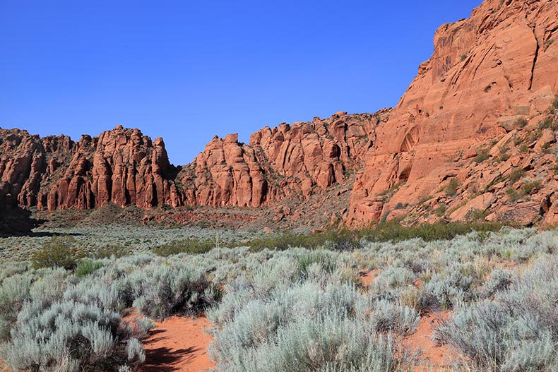 Snow Canyon SP - Henryk Iwaniec