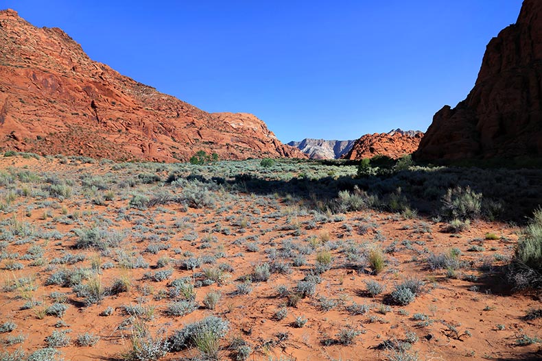 Snow Canyon SP - Henryk Iwaniec