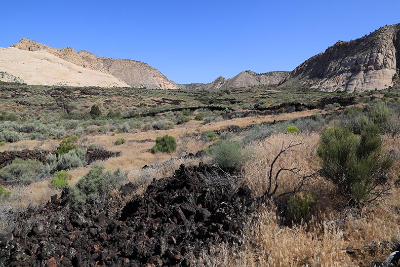 Snow Canyon SP - Henryk Iwaniec