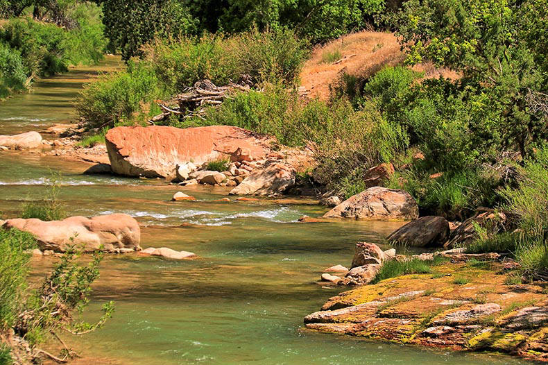 Zion NP